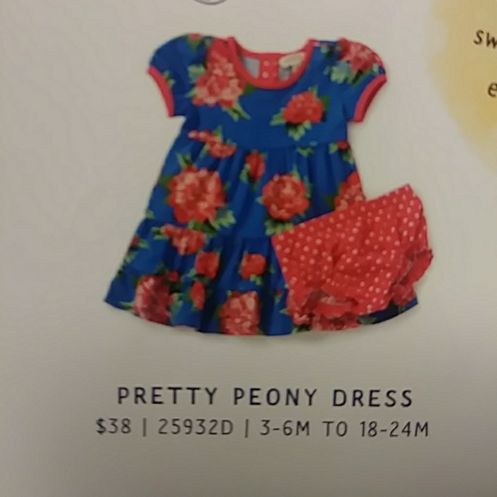Pretty peony dress 6-12m
